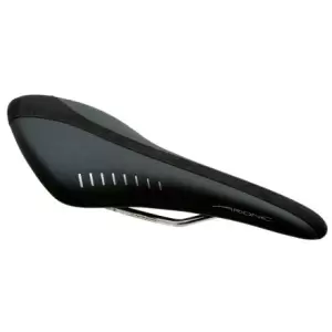 Fi'zi:k Arione Saddle