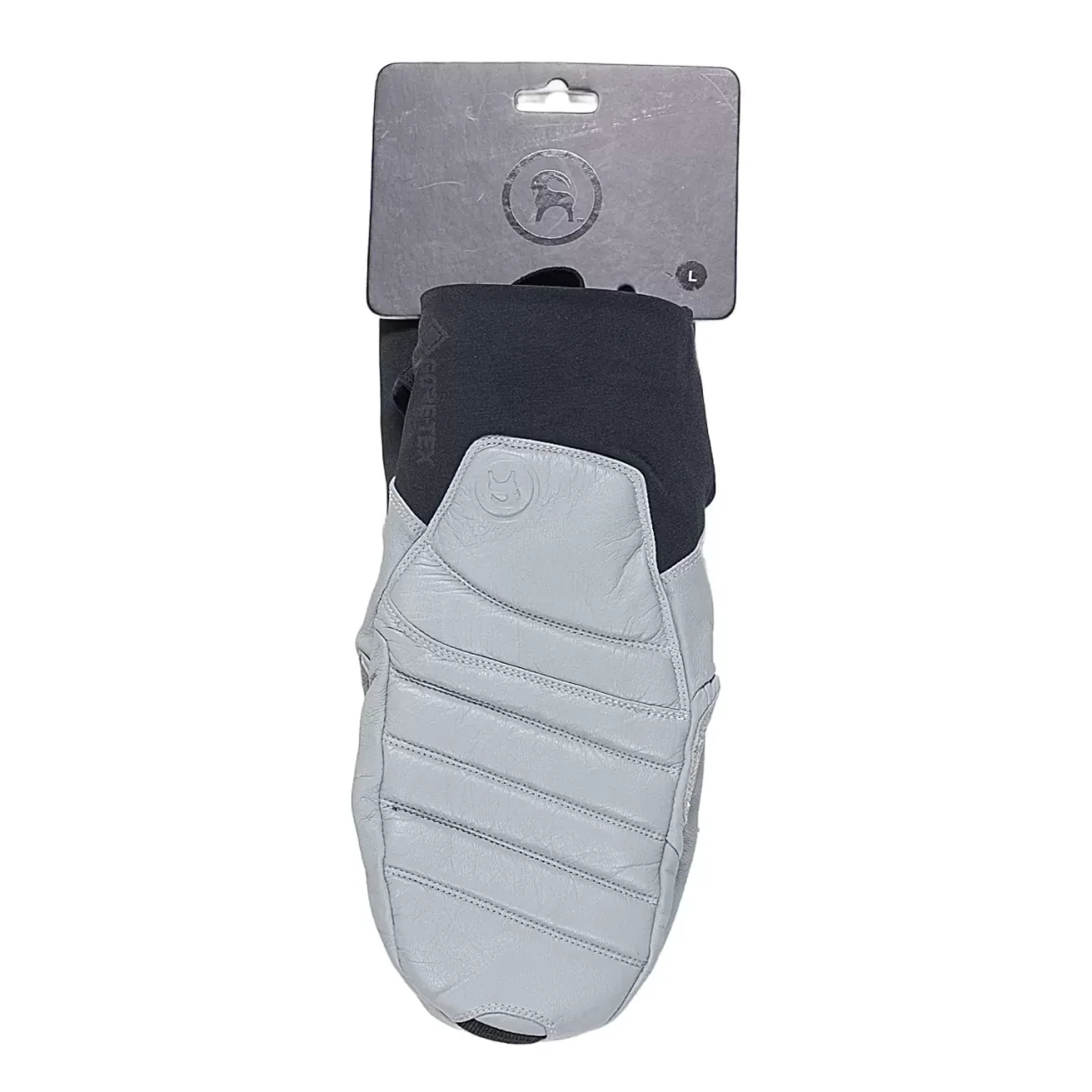 Backcountry GORE-TEX Snow Mitten