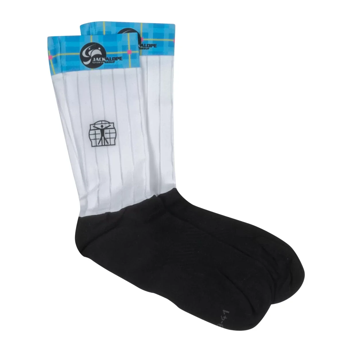 BIORACER Team Speed Sock Stripe