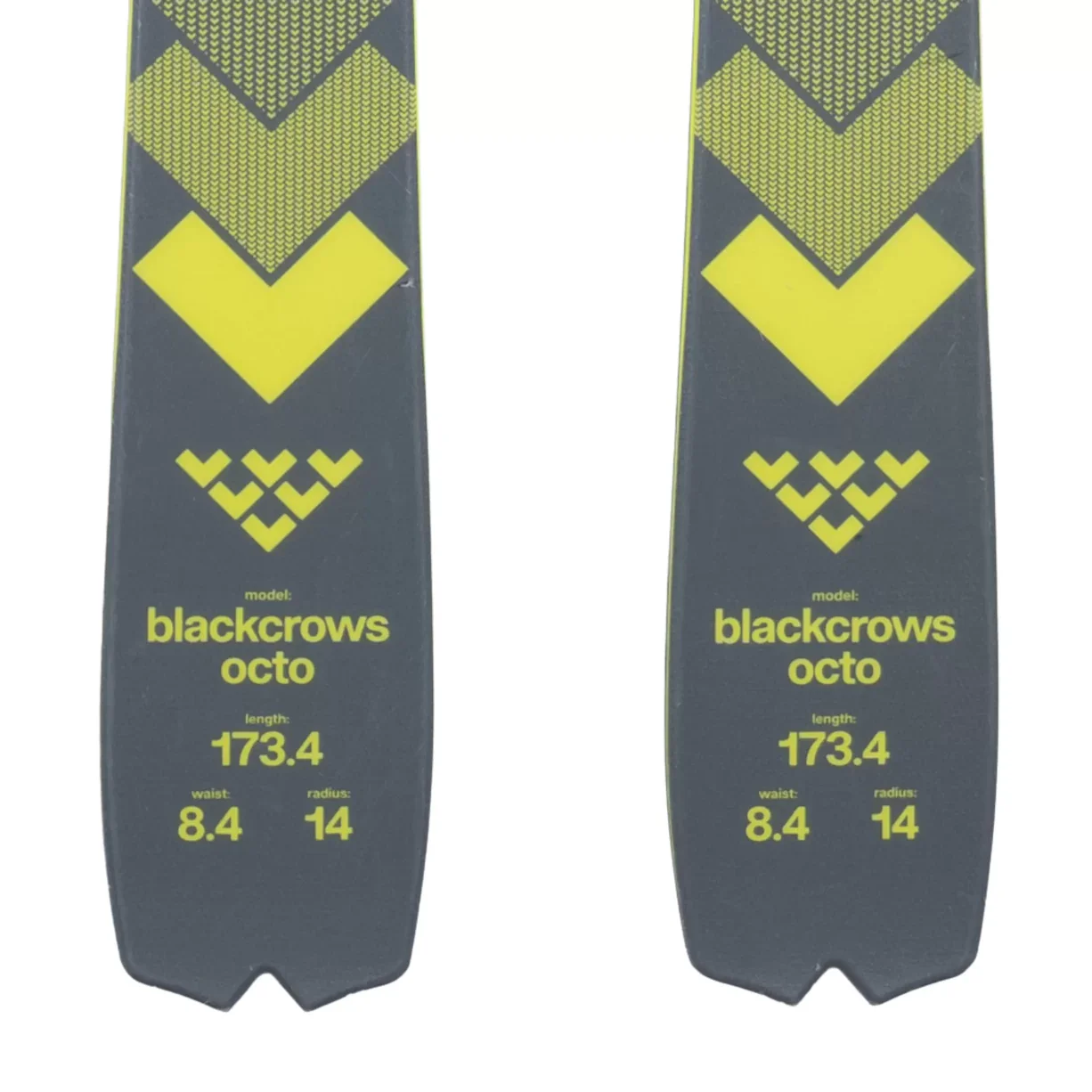 Black Crows Octo Skis 2025 - 173.4cm - Image 5