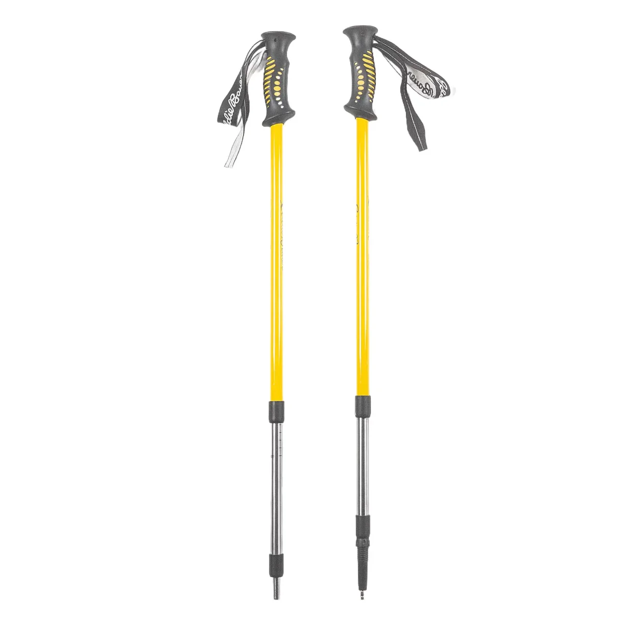 Eddie Bauer Bauer Trekking Poles