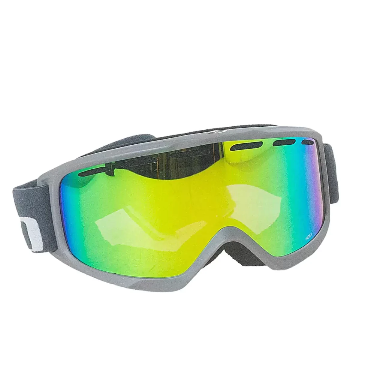 Giro Index Ski Goggles