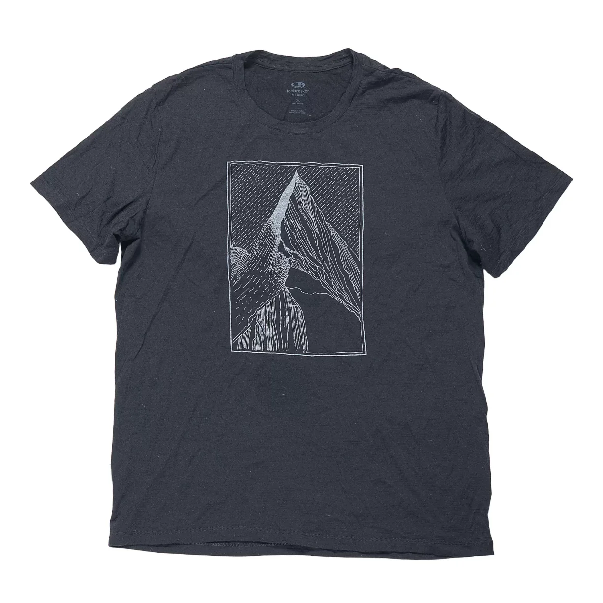 Icebreaker Merino Graphic T-Shirt - Men's