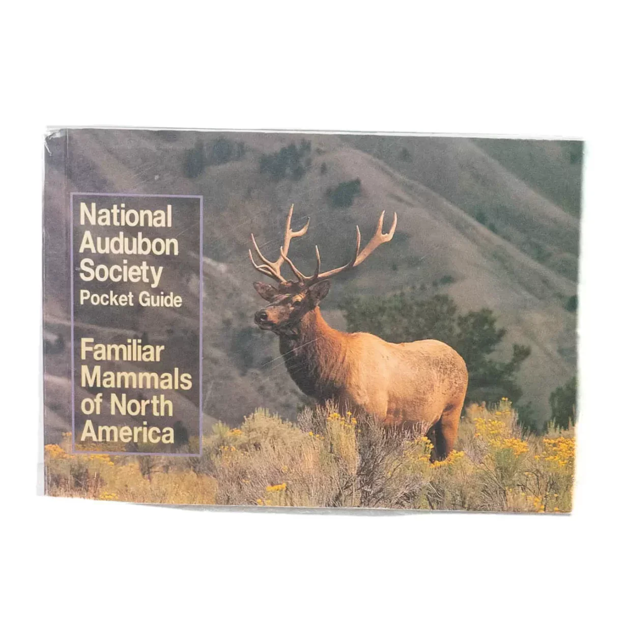 National Audubon Society Pocket Guide: Familiar Mammals of North America