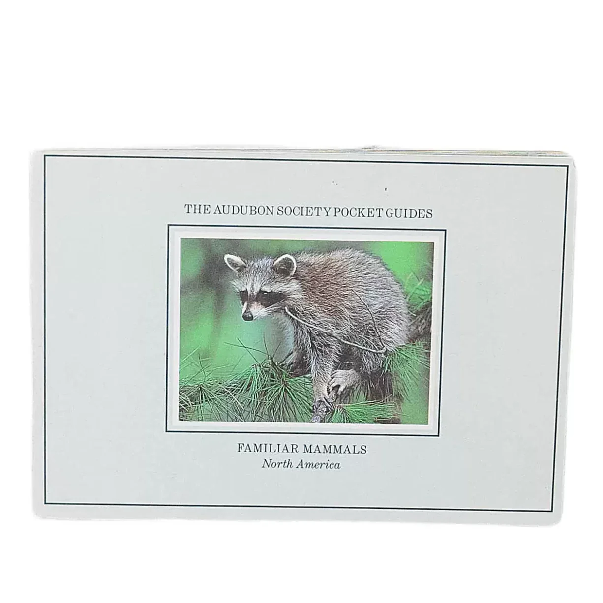 National Audubon Society Pocket Guide: Familiar Mammals of North America