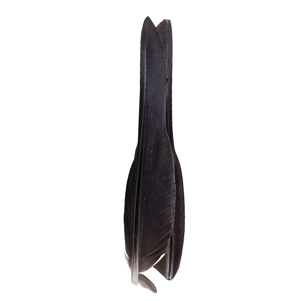 Nature's Spirit Goose Quills