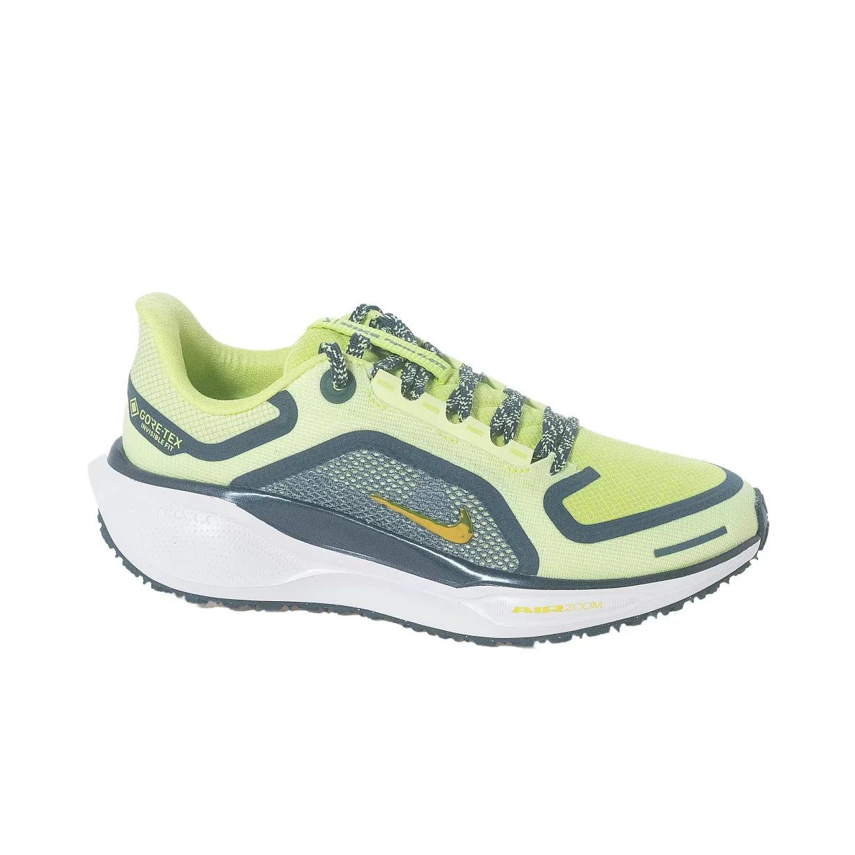 Nike Pegasus 41 GORE-TEX Running Shoes - Women's