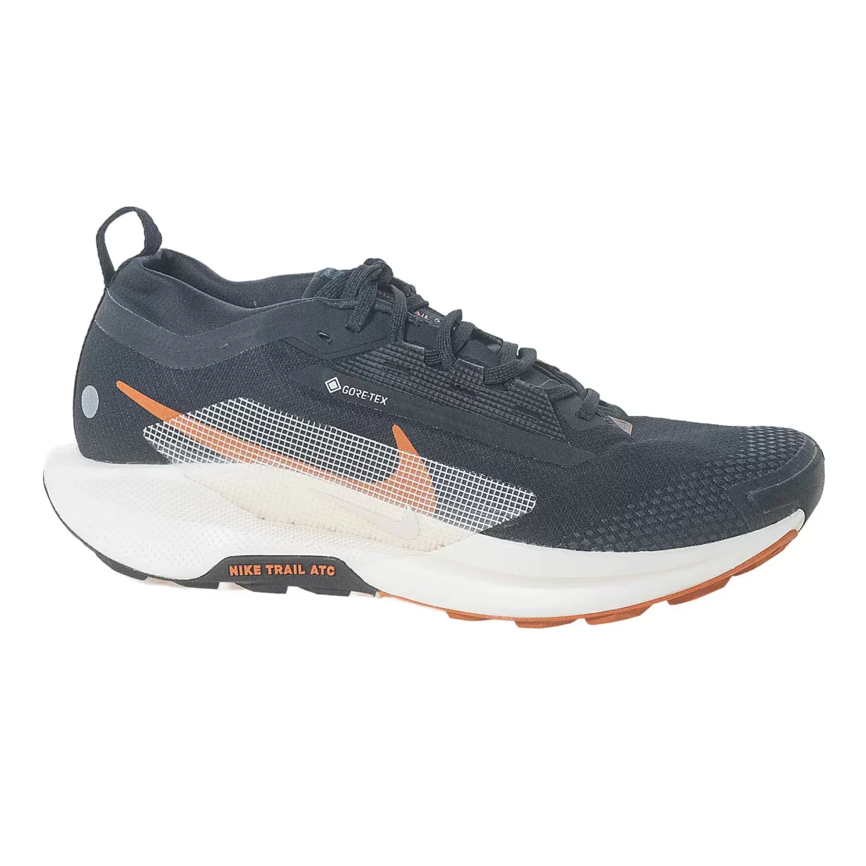 Nike Pegasus Trail 5 GORE-TEX