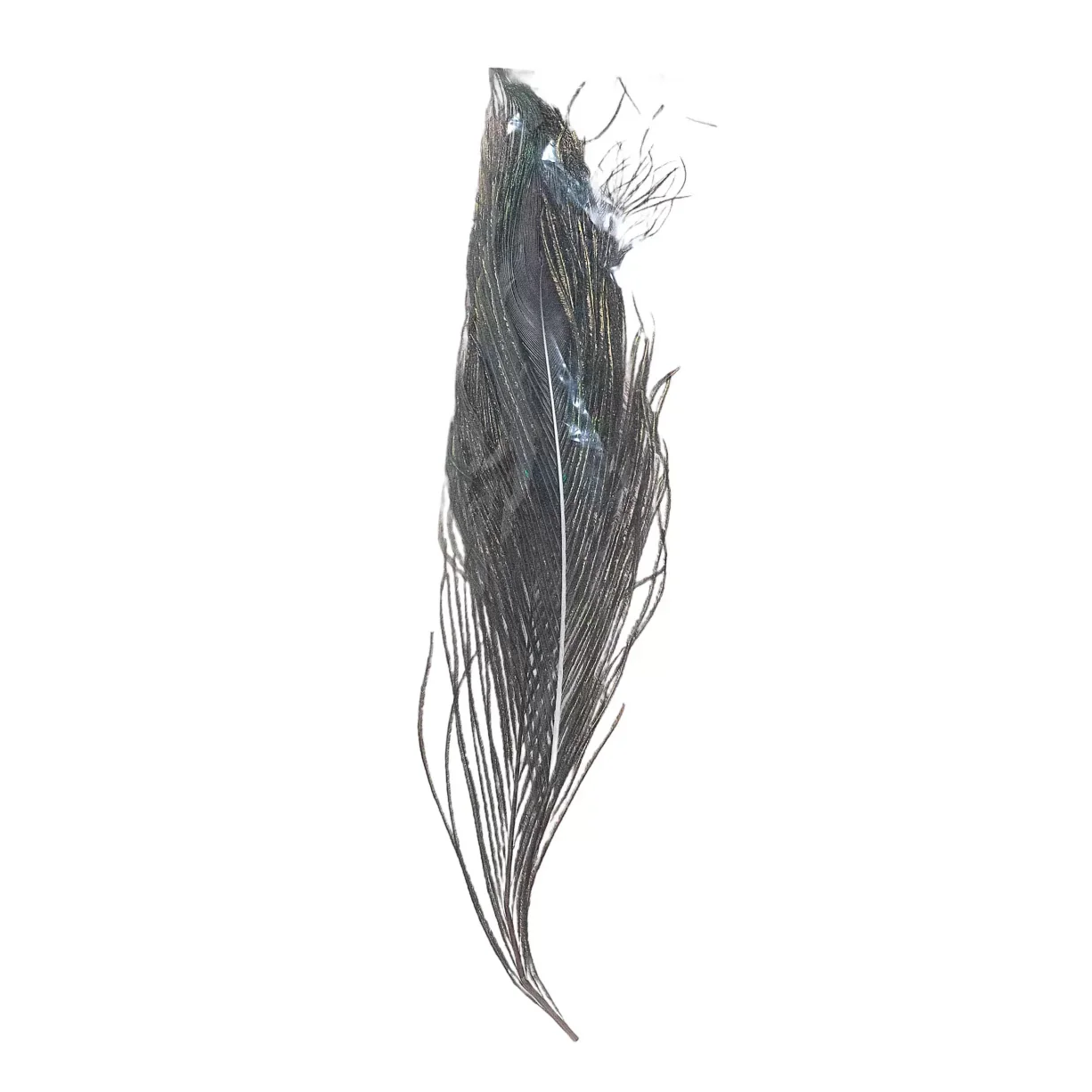 Orvis Peacock Tail