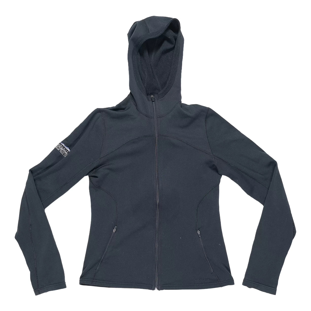 Patagonia Capilene 4 Expedition Weight Full-Zip Hoody - Women's
