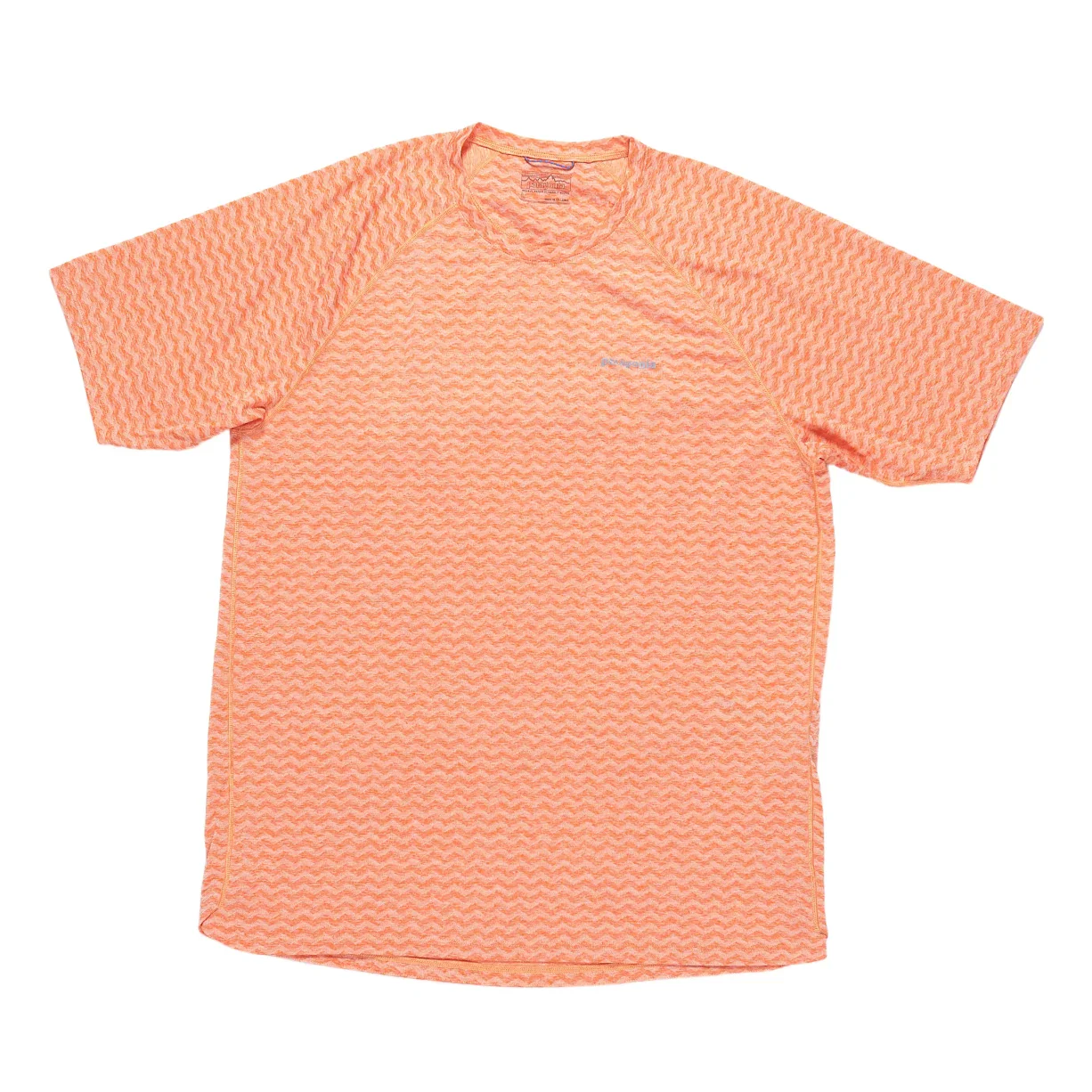 Patagonia Capilene Cool Daily Graphic T Shirt - Men's
