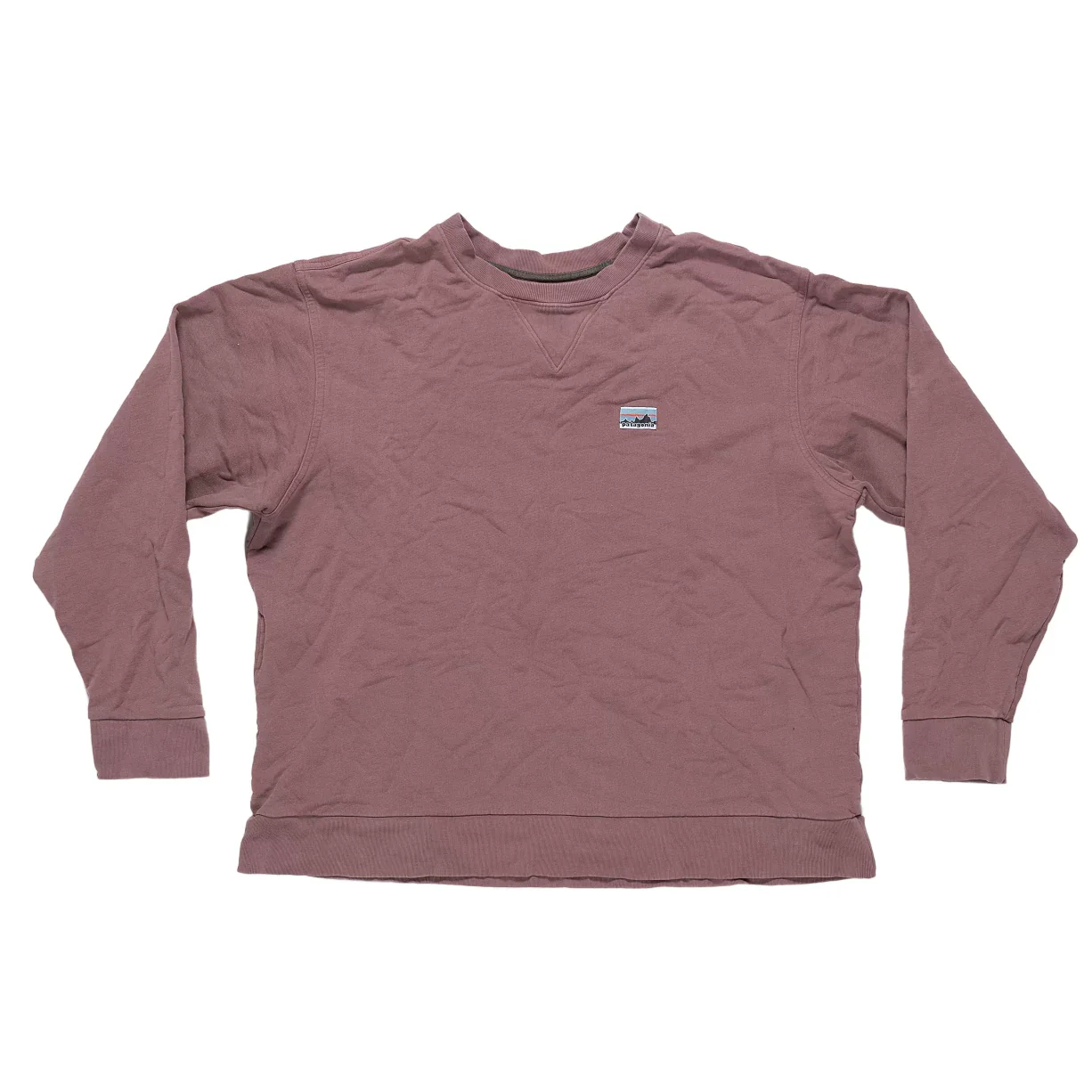 Patagonia Daily Crew Sweatshirt - Men's