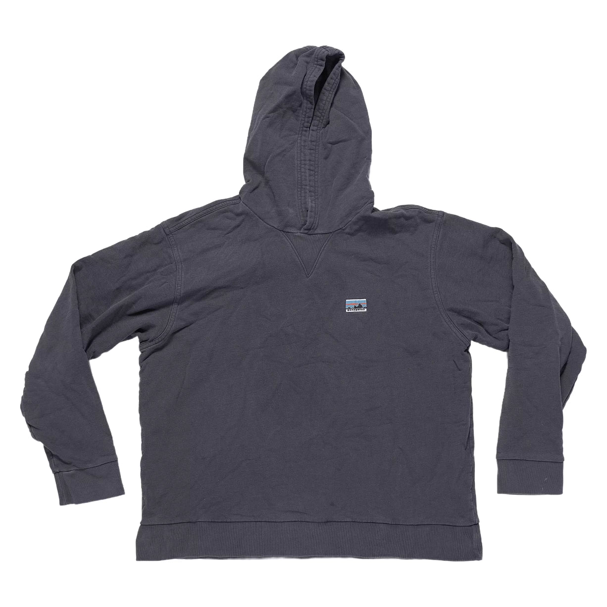 Patagonia Daily Hooded Sweatshirt - Men's