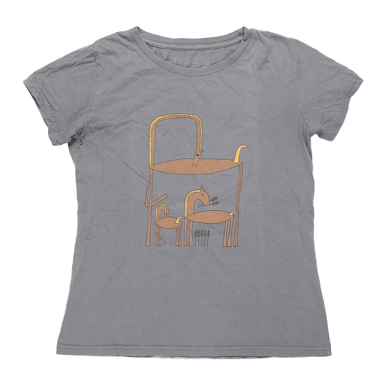 Patagonia Graphic Tee - Women's