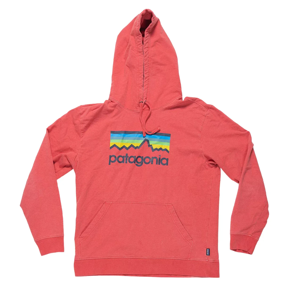 Patagonia Logo Hoodie - Men's