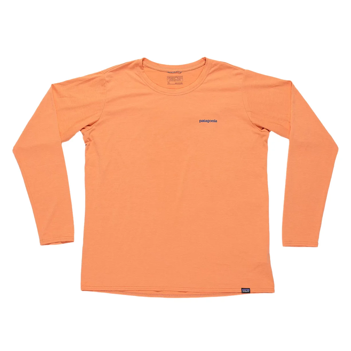 Patagonia Long-Sleeved Capilene Cool Daily Graphic Shirt - Women's