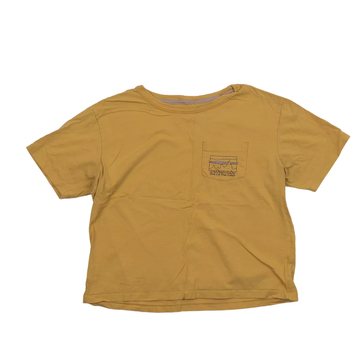 Patagonia Pocket Tee - Women's