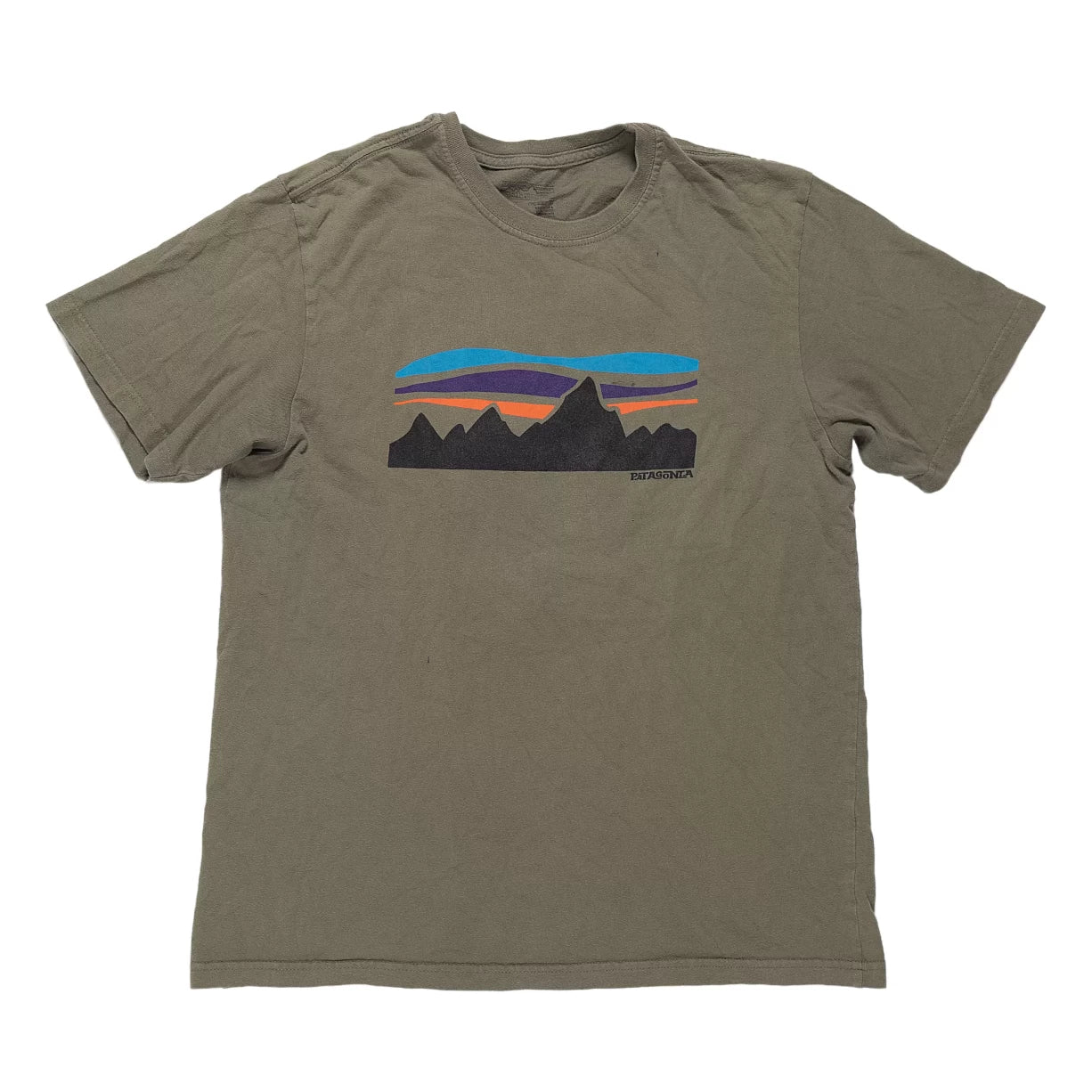Patagonia Short Sleeve T-Shirt - Men's