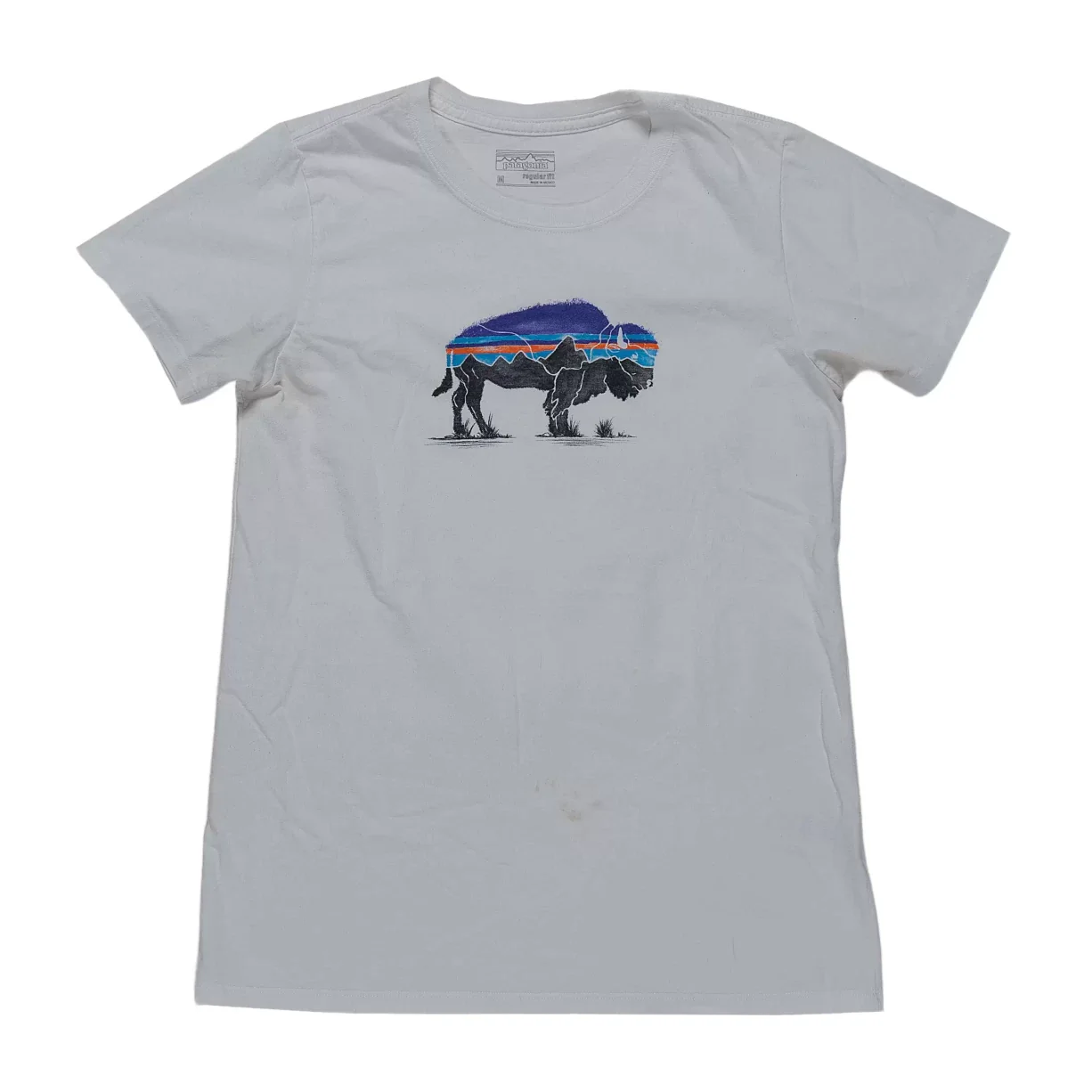Patagonia T-Shirt - Men's