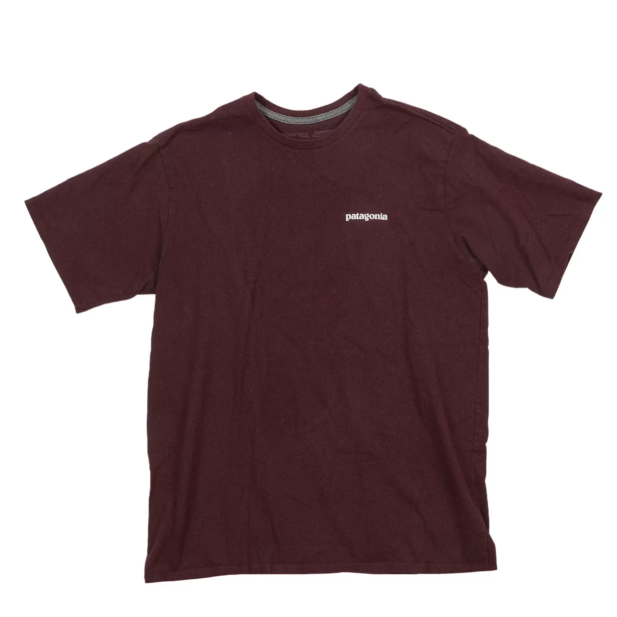 Patagonia T-Shirt - Men's