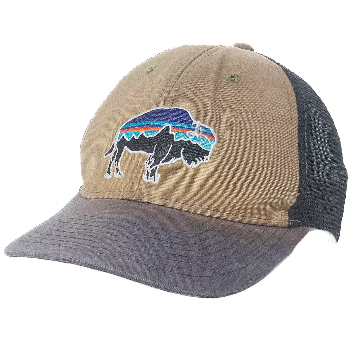 Patagonia Trucker Hat