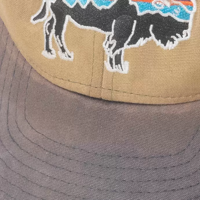 Patagonia Trucker Hat - Image 4
