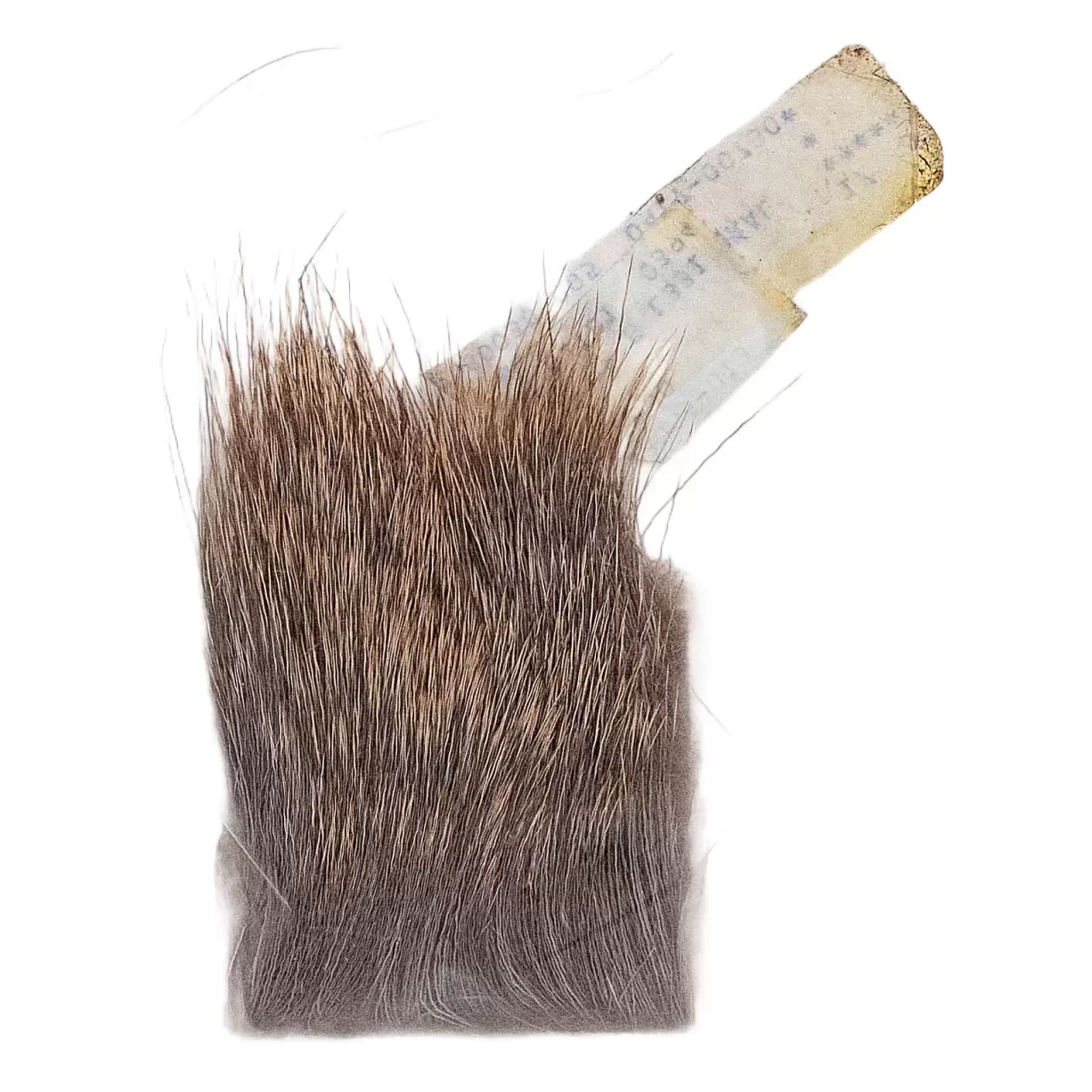 Rocky Mountain Dubbing Yearling Elk Hair - Image 2