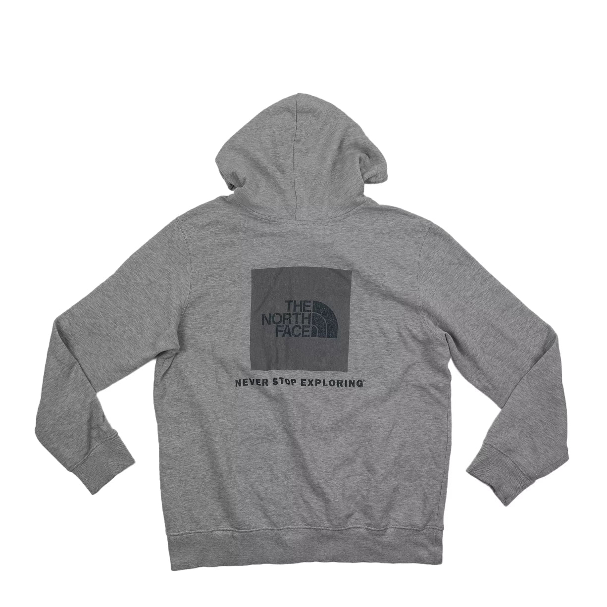 The North Face Evolution Box NSE Regular Hoodie - Men's - Image 2