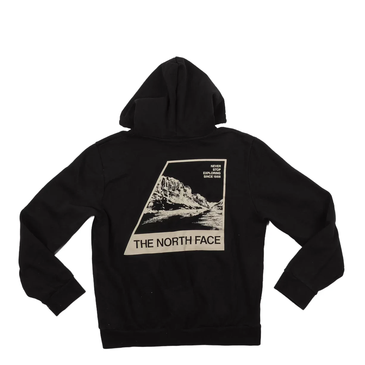 The North Face Evolution Retro NSE Hoodie - Men's - Image 2