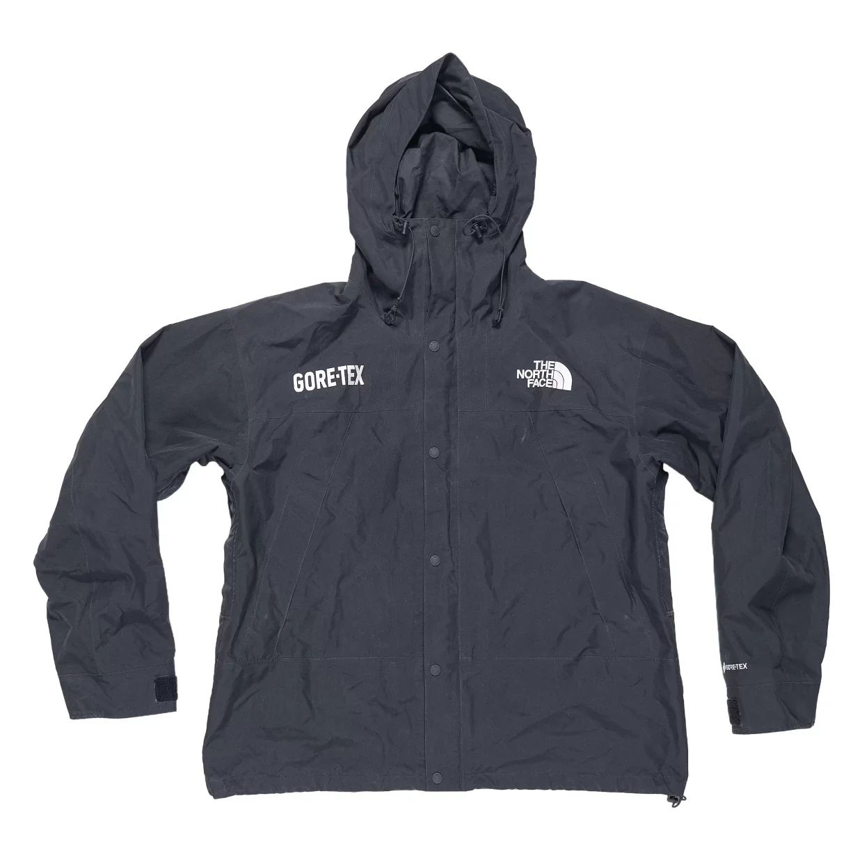 The North Face GORE-TEX Mountain Jacket - Men's