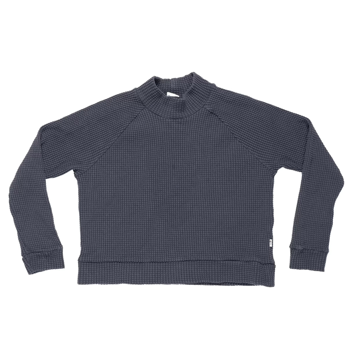 The North Face Mock Neck Chabot Top - Women's