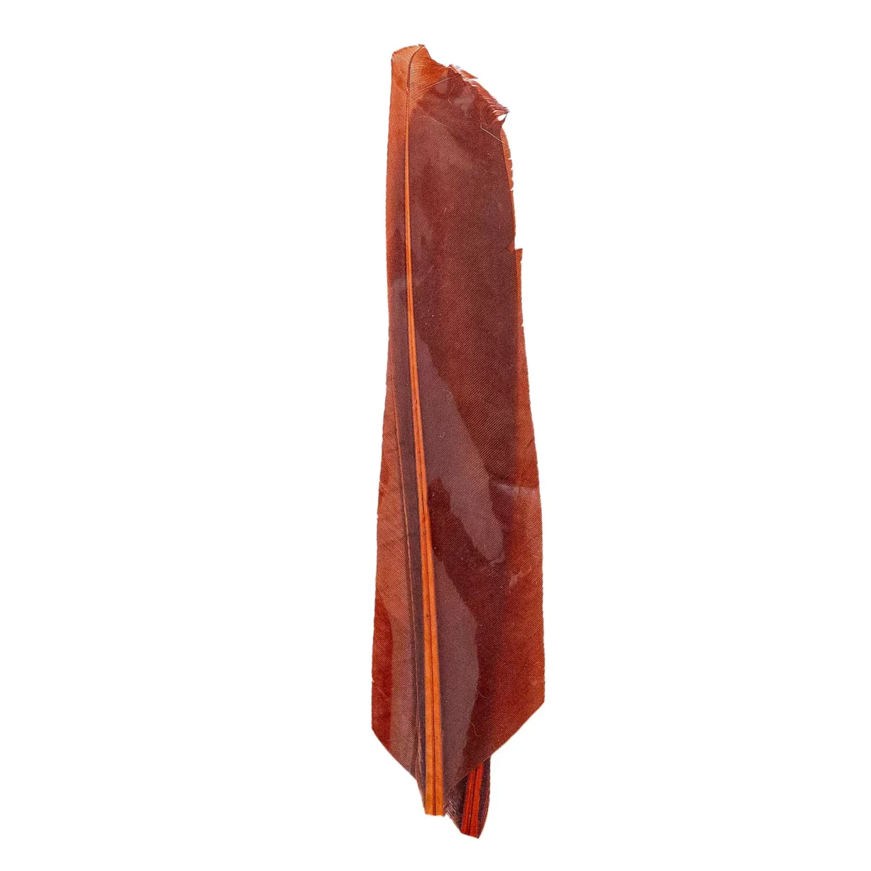 Unbranded Turkey Biot Quill - Image 2