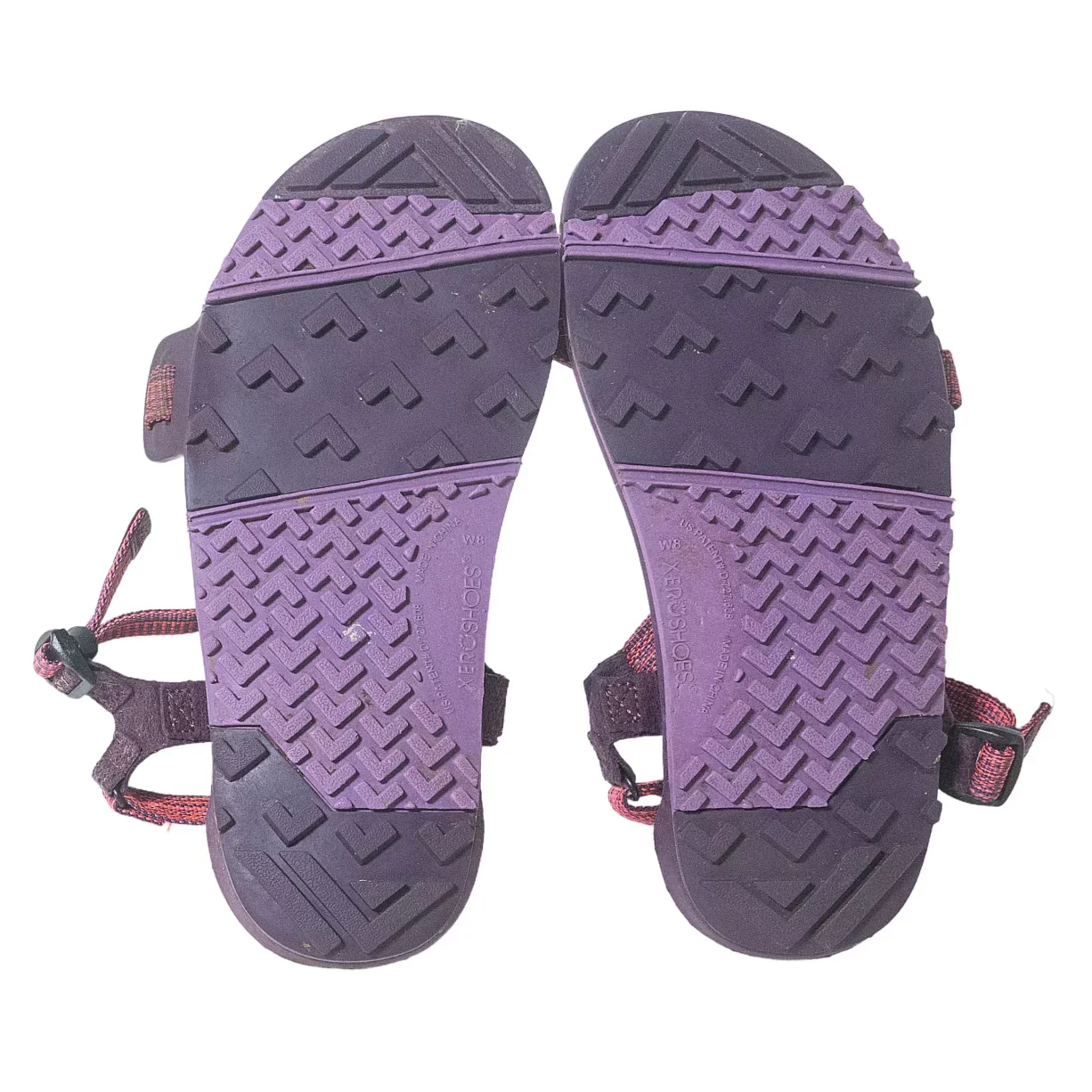Xero Shoes Z-Trail EV - Women's - Image 4